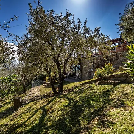 La Paggeria Bed & Breakfast