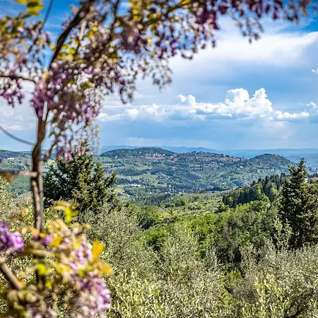 Bed and Breakfast La Paggeria Trespiano