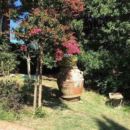 La Paggeria Bed and Breakfast Trespiano