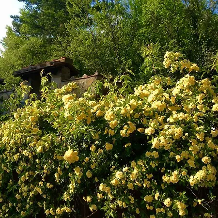 Bed and Breakfast La Paggeria 3*